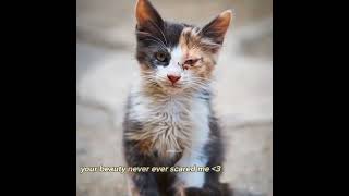 Hasta Olan Sensin Kardeşim