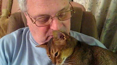 Abbysinian Cat Abby Loves his dad dean dye jo-an t...