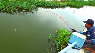 Edan,,, Jembatan ini full ikan masnya