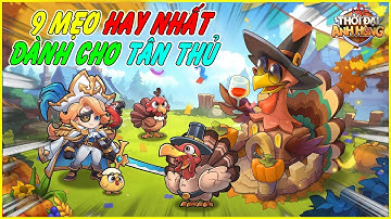 9 lưu ý giúp tân thủ Thời Đại Anh Hùng - Top Heroes chơi game tốt hơn