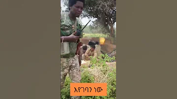ወደ መቀሌ እየገባን ነው አበረታቱን News Shorts Newethiopia Mekelakeya Mekele 