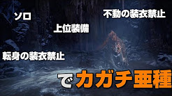 Mhw I 片手剣上位装備でアイスボーンストーリー攻略 Youtube