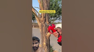 Tree Branches Cutting Process- Goodtools and machinery make work easy #tools