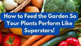 How to Feed the Garden So Your Plants Perform Like Superstars!