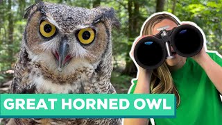 Great Horned Owl Facts | Owl Food Chain Project