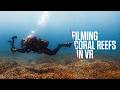 Behind the Scenes: Filming Coral Reefs in Virtual Reality with Mads St Clair