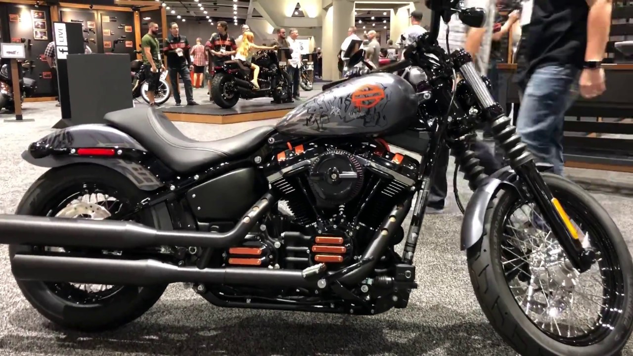 Customized Street Bob 2019  New models  Harley  Davidson  