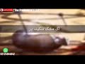 Qaidi bani kharhi hai karban Main Zehra(S.A) sani WhatsApp status Whatsapp Status Video Download Free