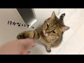【ママ行かないで】私達が仕事を欠勤する理由がこちらです