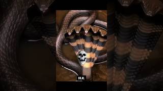 Wanted snake 😈 | #shorts #viral #snake