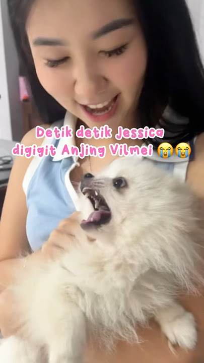TAKUT BANGET SAMA ANJING🦮😭
