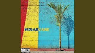 Sugarcane