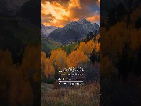 تعقيم سمعي و بصري قرآن الكريم صدقة جارية جيش التوت