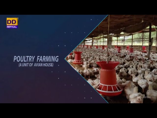 Agriculture Programme | Poultry Farming (A Unit of Avian House)