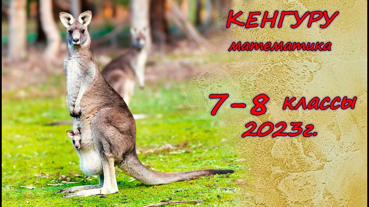 Кенгуру 7 8 классы ответы. Кенгуру 2023. Кенгуру 2023 3 класс. Задачи решать кенгуру. Kangaroo Olympiad blank.