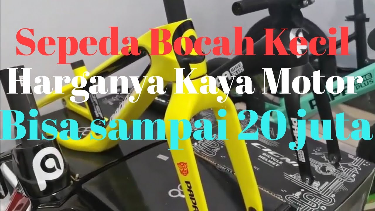 Pushbike Harga 10 juta merk papabike kualitas memang Pushbike Harga 10 juta merk papabike kualitas memang