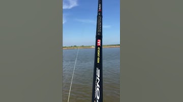 Câu cá chẽm biển Gò Công - kéo mỏi cả tay cong cả cần