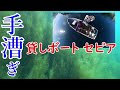 戸田港、貸しボートセピアで、二人乗り手漕ぎボート借りて妻と釣りをして来ました。今年は海の藻が大繁殖...とんでもない状況です。