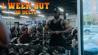 THE BEST SHOULDER PUMP | 1 WEEK OUT