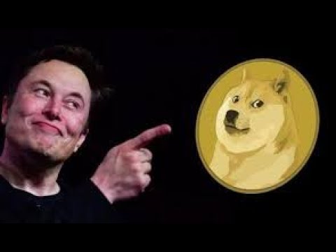 From Elon Musk to McDonald's: Kids menu on TV if she accepts Dogecoin