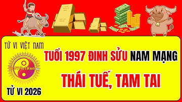 Tử vi tuổi 1997 Đinh Sửu năm 2026 nam mạng: Sao gì chiếu mệnh, Hạn gì? Tử Vi Việt Nam