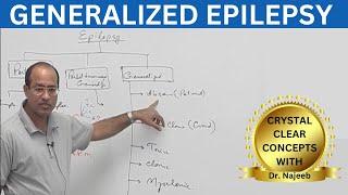 Generalized Epilepsy | Generalized Seizures | Neuroanatomy