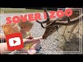 SOVER I ZOO!! Skandinavisk Dyrepark - Vlog