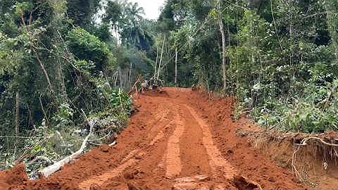 Building a Forest Road with a CAT D6R XL Bulldozer with Extraordinary Skill