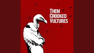 Video thumbnail of "Them Crooked Vultures - Elephants"