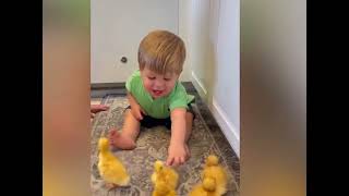 Download Lagu Baby's Funny Moments: Laughs, Songs, \u0026 Surprises! MP3 Download Lagu Baby's Funny Moments: Laughs, Songs, \u0026 Surprises! MP3