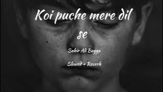 Koi Puche mere dil se | Slow and Reverb | #Slow #sad