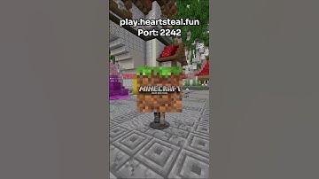 The Best Public Lifesteal SMP! Bedrock & Java