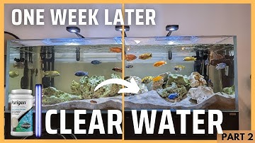 CLEAR water in my African Cichlid tank: Results of UVC and Purigen (Part 2)