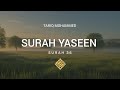 Surah Yaseen Complete Most Beautiful Quran Recitation With Accurate English Translation Surah Yaseen Complete Most Beautiful Quran Recitation With Accurate English Translation