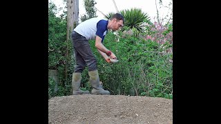 How to make and maintain mini-meadows by Adrian Thomas