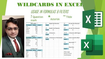 Wildcard In Excel(Practical Video) With CAAJ │Asterisk (*)│Question mark (?)│Tilde (~)