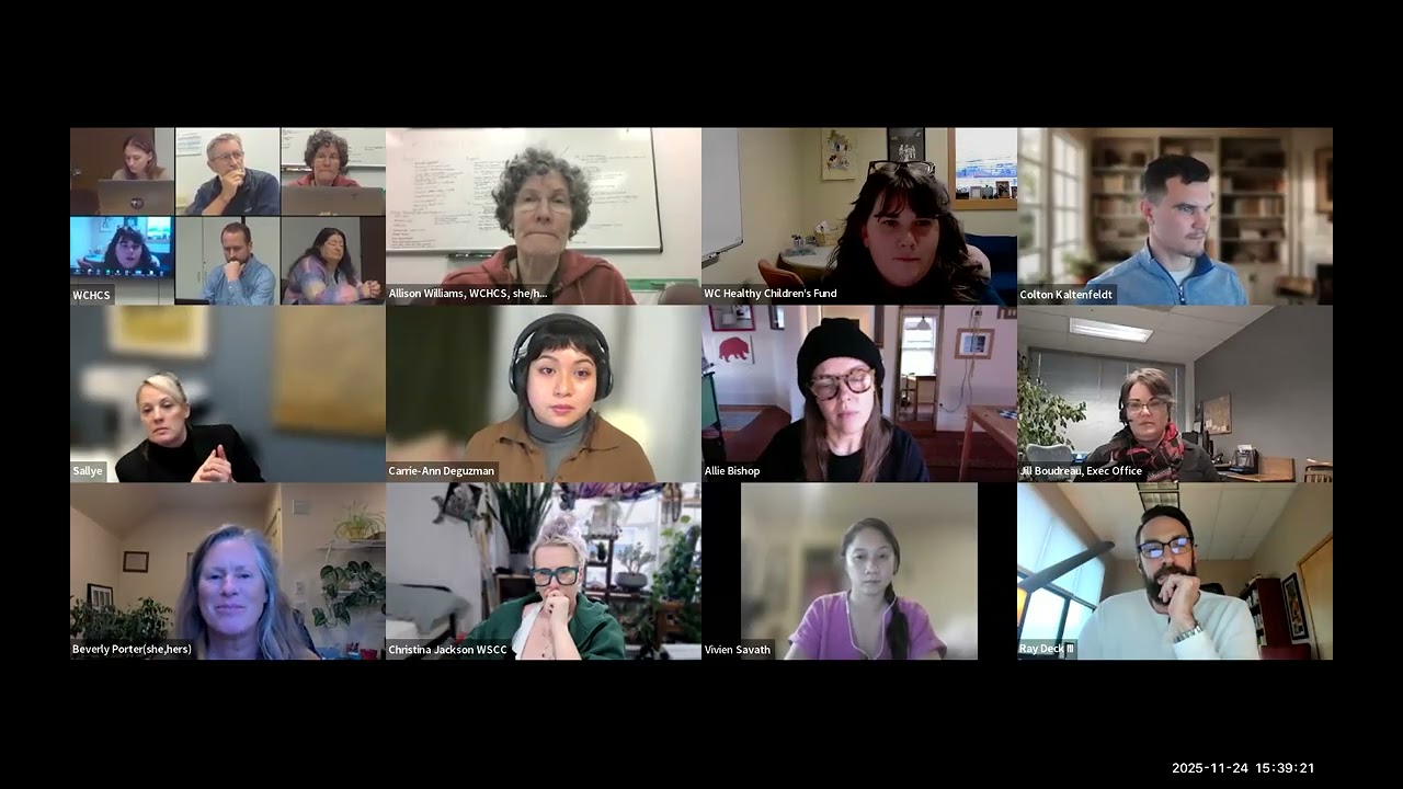 Child and Family Well-Being Task Force 11/24/2025