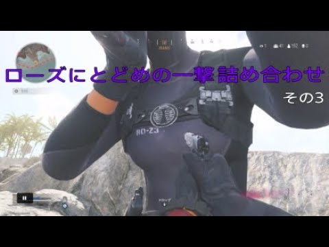 Call of duty :warzone ローズにとどめの一撃詰め合わせ　その3
