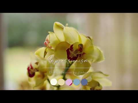 VADAIN ELITE: Impressionism