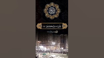 صفات المؤمنين ؟ تلاوة مختارة لم تسمعها #ترند #القرآن_الكريم #اكسبلور #محمد_الفقيه #تلاوة #قرآن