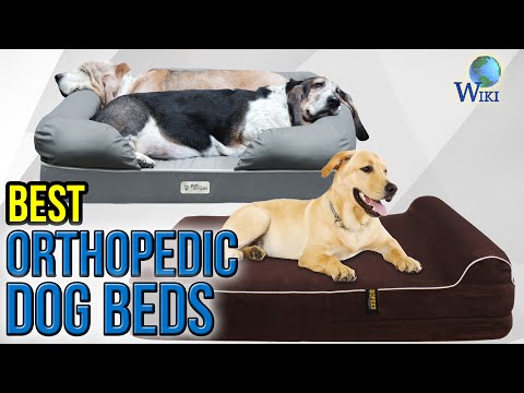 10-best-orthopedic-dog-beds-2017