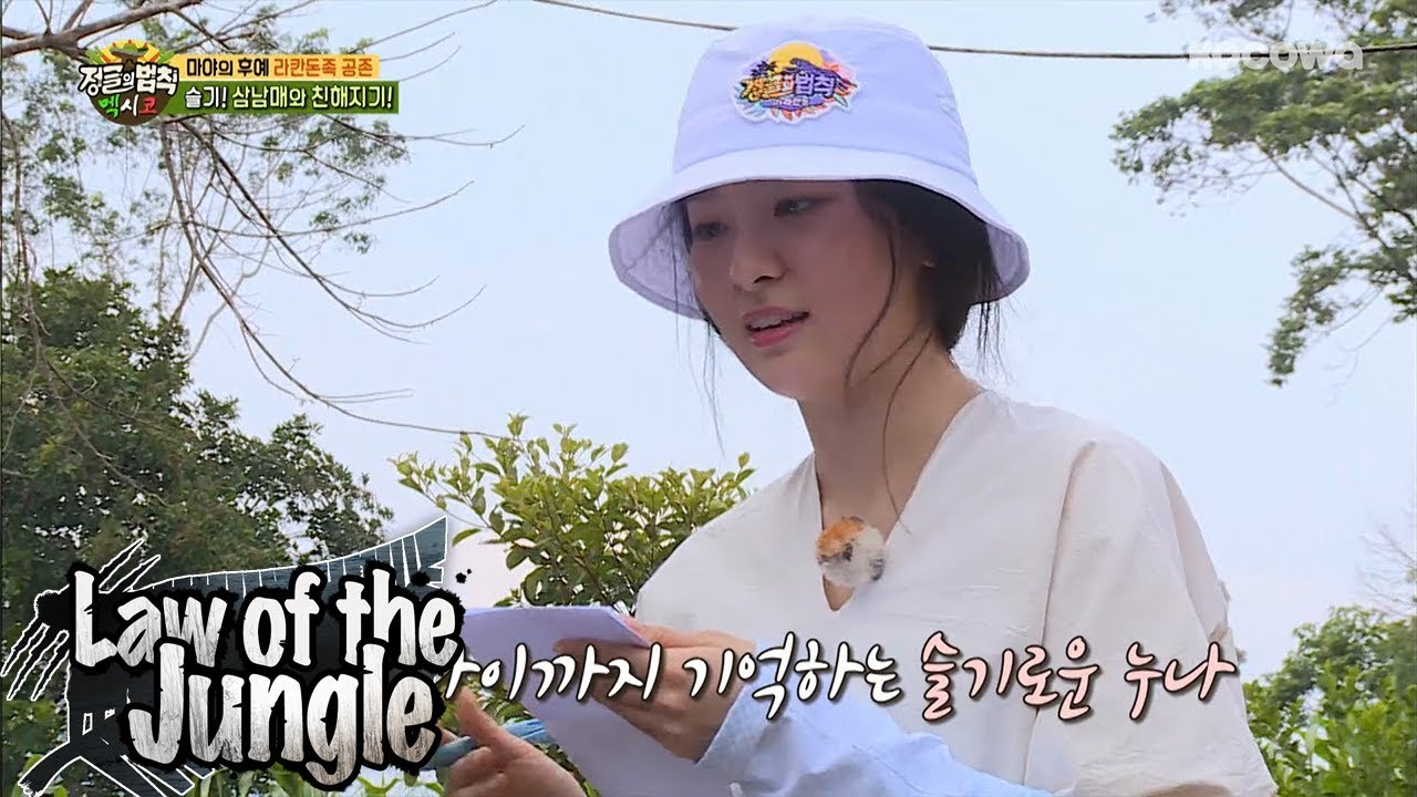 seulgi law of the jungle seulgi law of the jungle