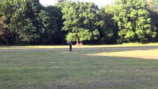 FT Nutball - repeated headcrash due to improper pilot experience - Hamburg - Jenischpark