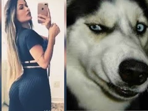 10 საიდუმლო, რომელსაც ძაღლს ვერ დაუმალავთ