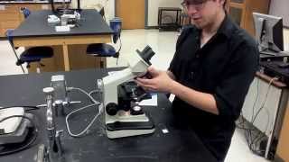 Lab Protocol - Microscope Use (Unit 5 Microscopy)