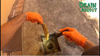 Blocked Drain 1167