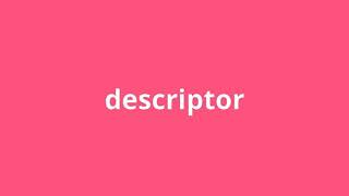 what is the meaning of descriptor