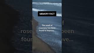 Memory fact shorts psychologyfacts memory