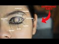 Day 1  eye makeup tutorial  how to apply eyeshadow for beginners 