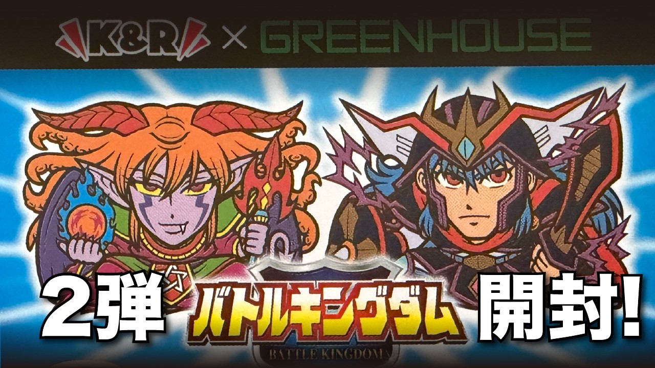 シルク印刷×ビニコ】バトルキングダム2弾・全33種開封！ - YouTube